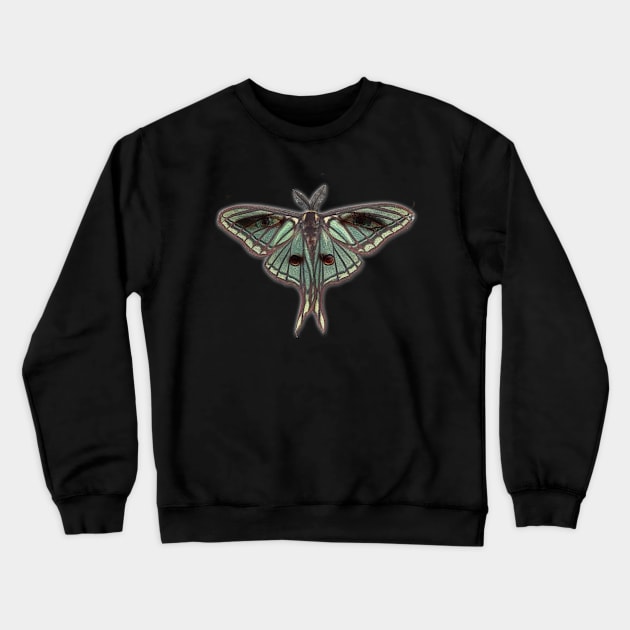 BB Butterfly Crewneck Sweatshirt by Diego-t